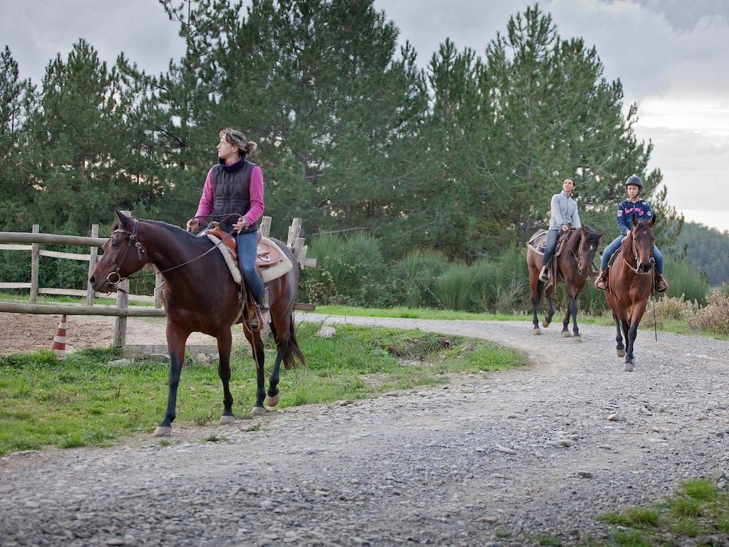 Tenuta La Silva Seggiano Dış mekan fotoğraf