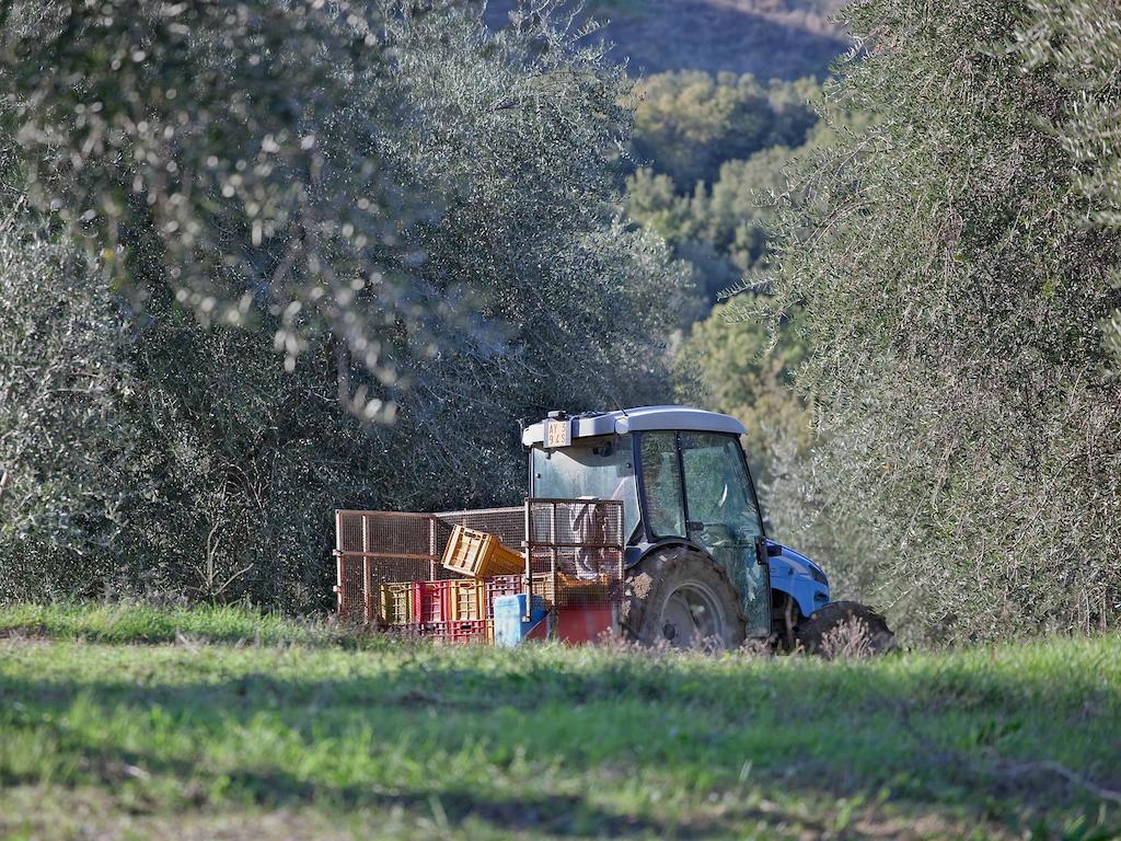 Tenuta La Silva Seggiano Dış mekan fotoğraf
