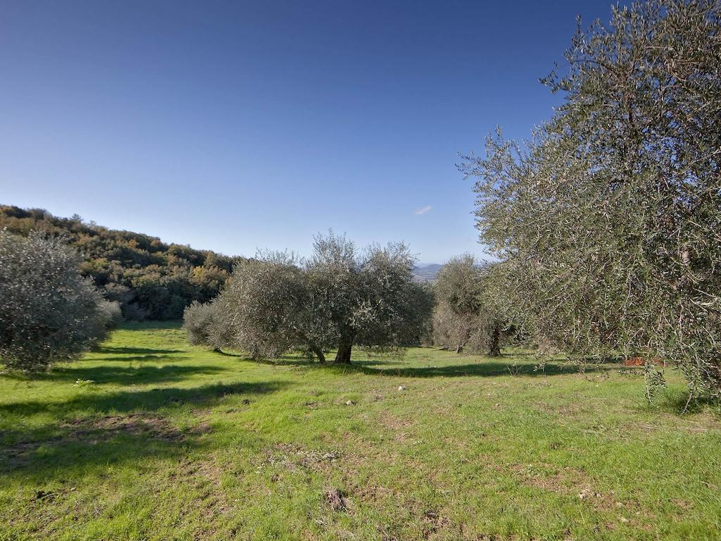 Tenuta La Silva Seggiano Dış mekan fotoğraf