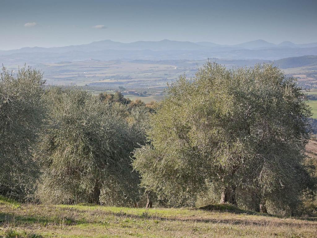 Tenuta La Silva Seggiano Dış mekan fotoğraf